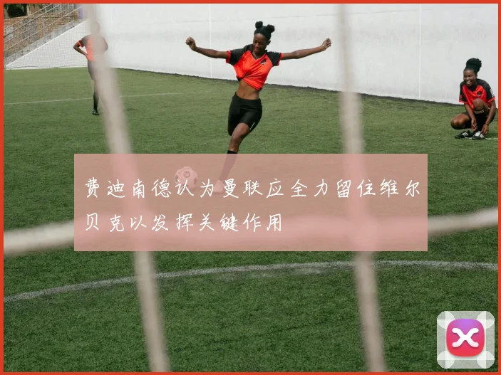 费迪南德认为曼联应全力留住维尔贝克以发挥关键作用