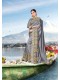 Grey Silk Heavy Bordered Saree with Embellishments