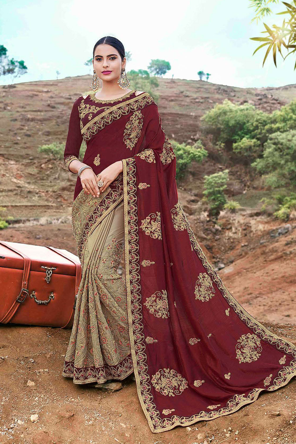 Khaki Brown Silk Half n Half Embroidered Saree with Embellishments, Border